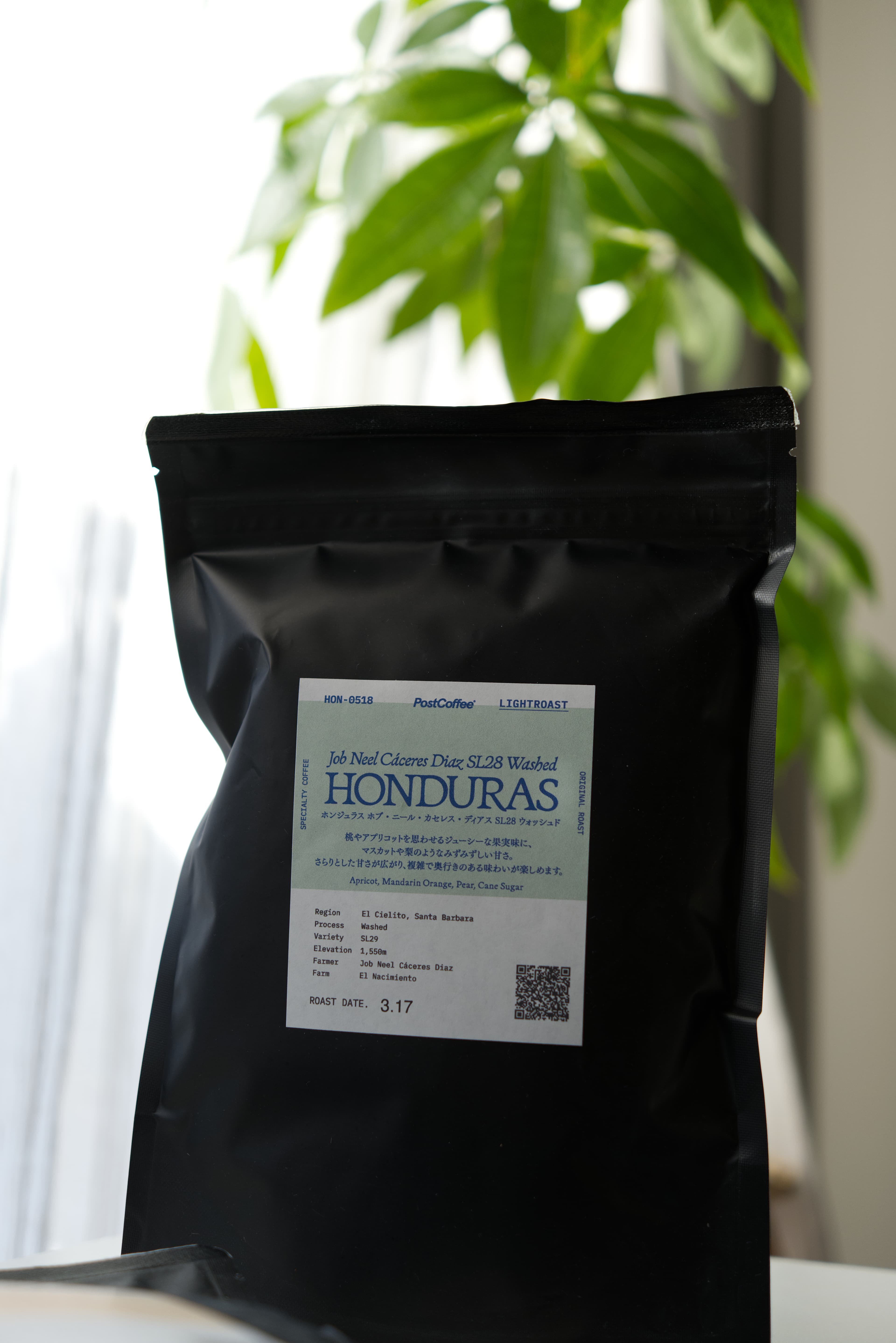 PostCoffee Honduras bag with plant